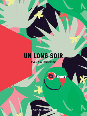 cover image of Un long soir